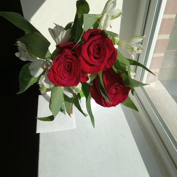 Meet your Posher, Geraldine - Picture 3 of 3